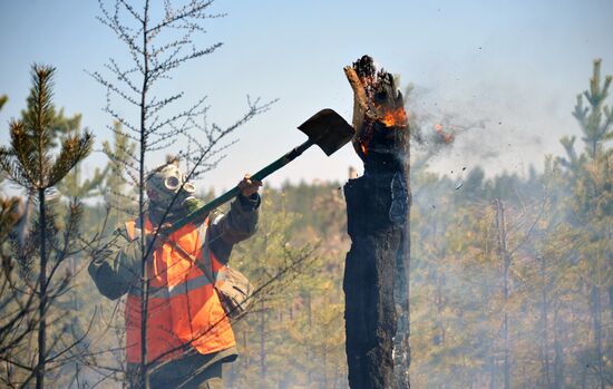 Wildfire fighting in Zabaikalsky Region