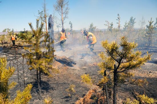 Wildfire fighting in Zabaikalsky Region