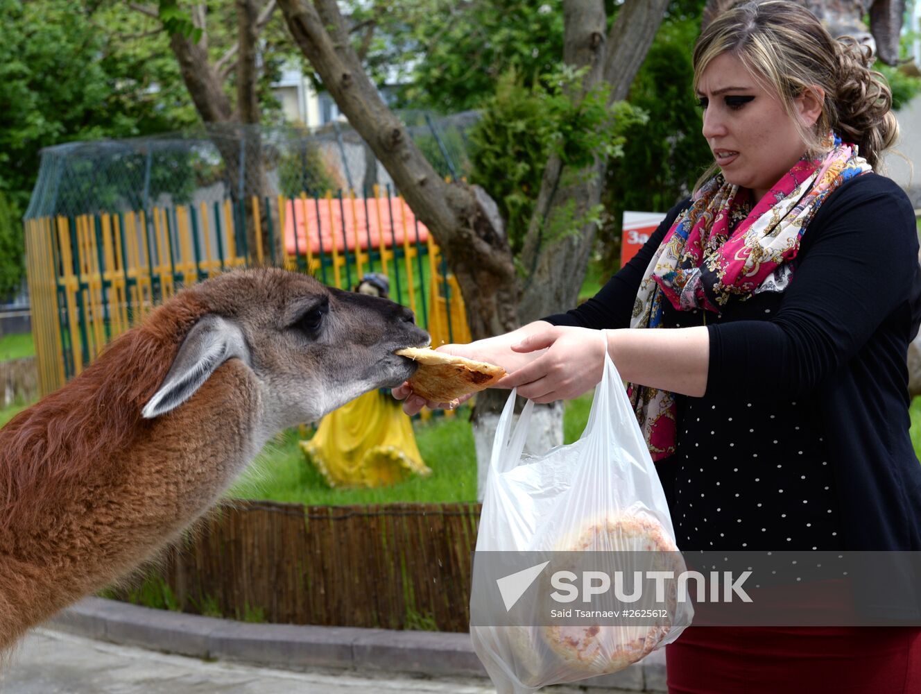 Zoo in Grozny