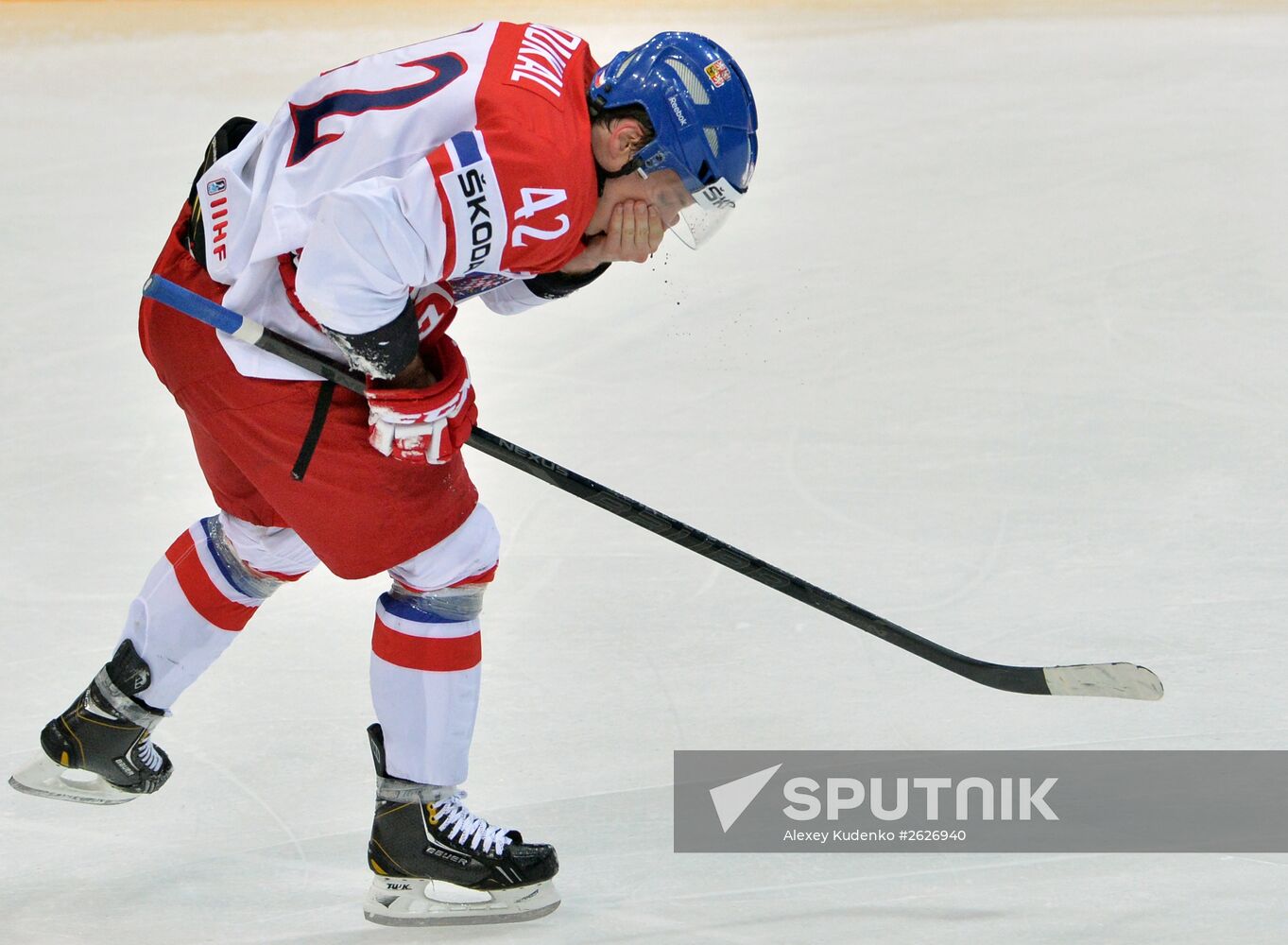 2015 IIHF World Championship. Third-place match. Czech Republic vs. USA
