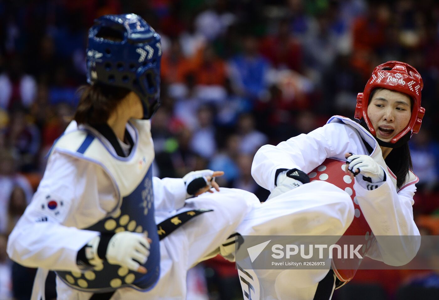 World Taekwondo Championships. Day Five