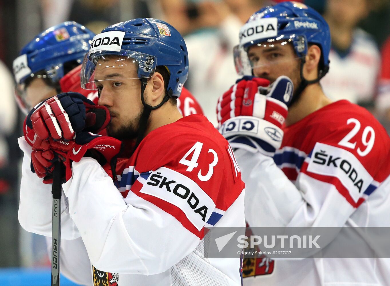 2015 IIHF World Championship. Third-place match. Czech Republic vs. USA