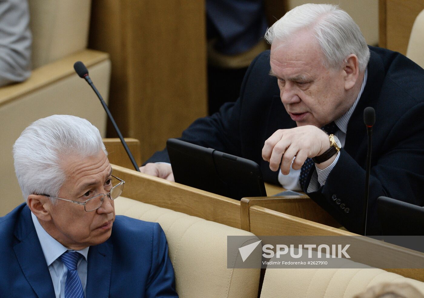Plenary meeting of the State Duma of the Russian Federation
