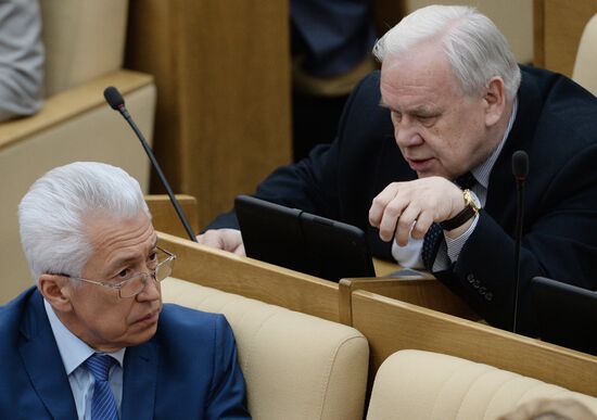 Plenary meeting of the State Duma of the Russian Federation
