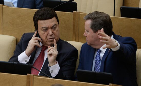 Plenary meeting of the State Duma of the Russian Federation