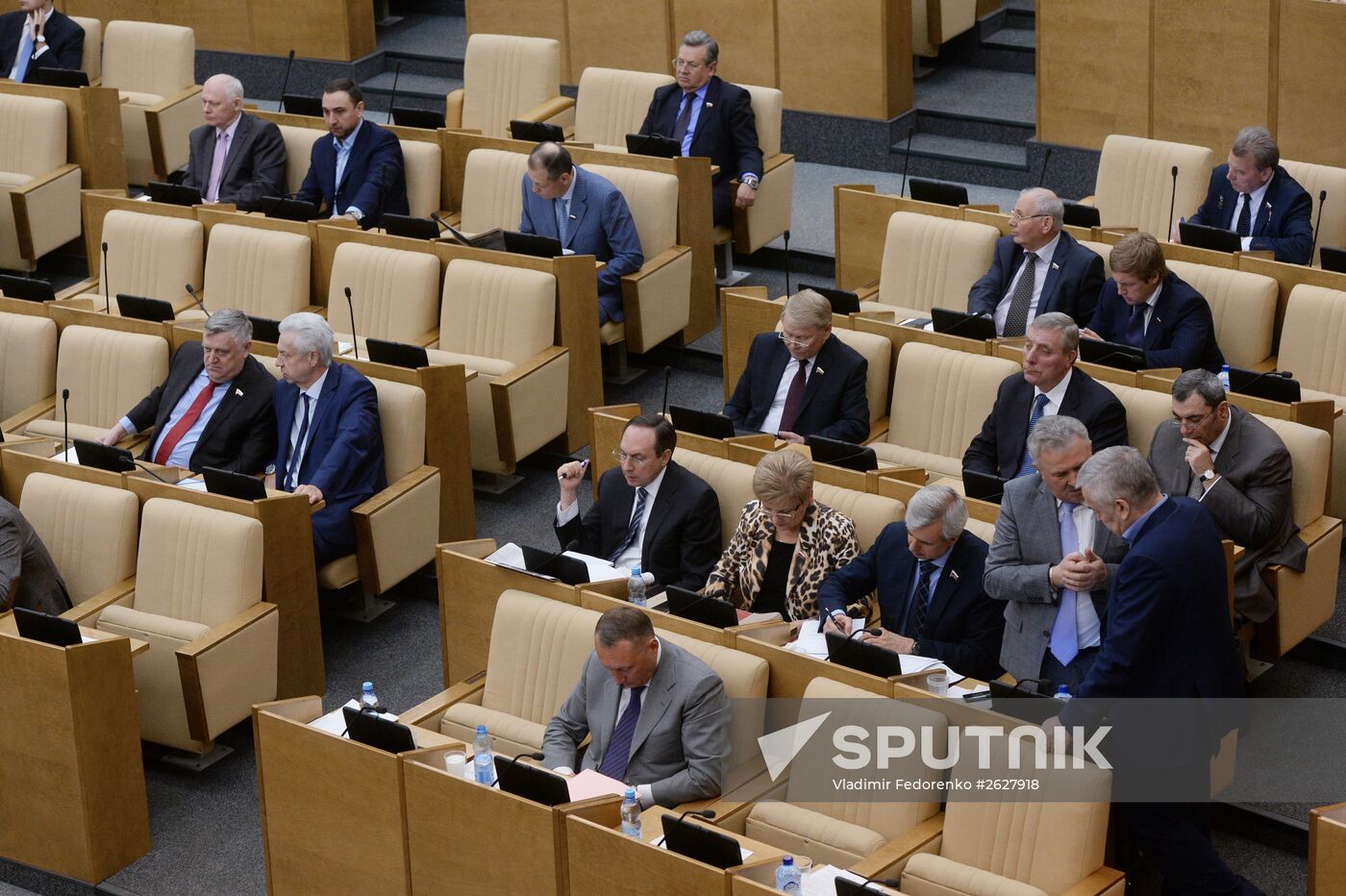 Plenary meeting of the State Duma of the Russian Federation