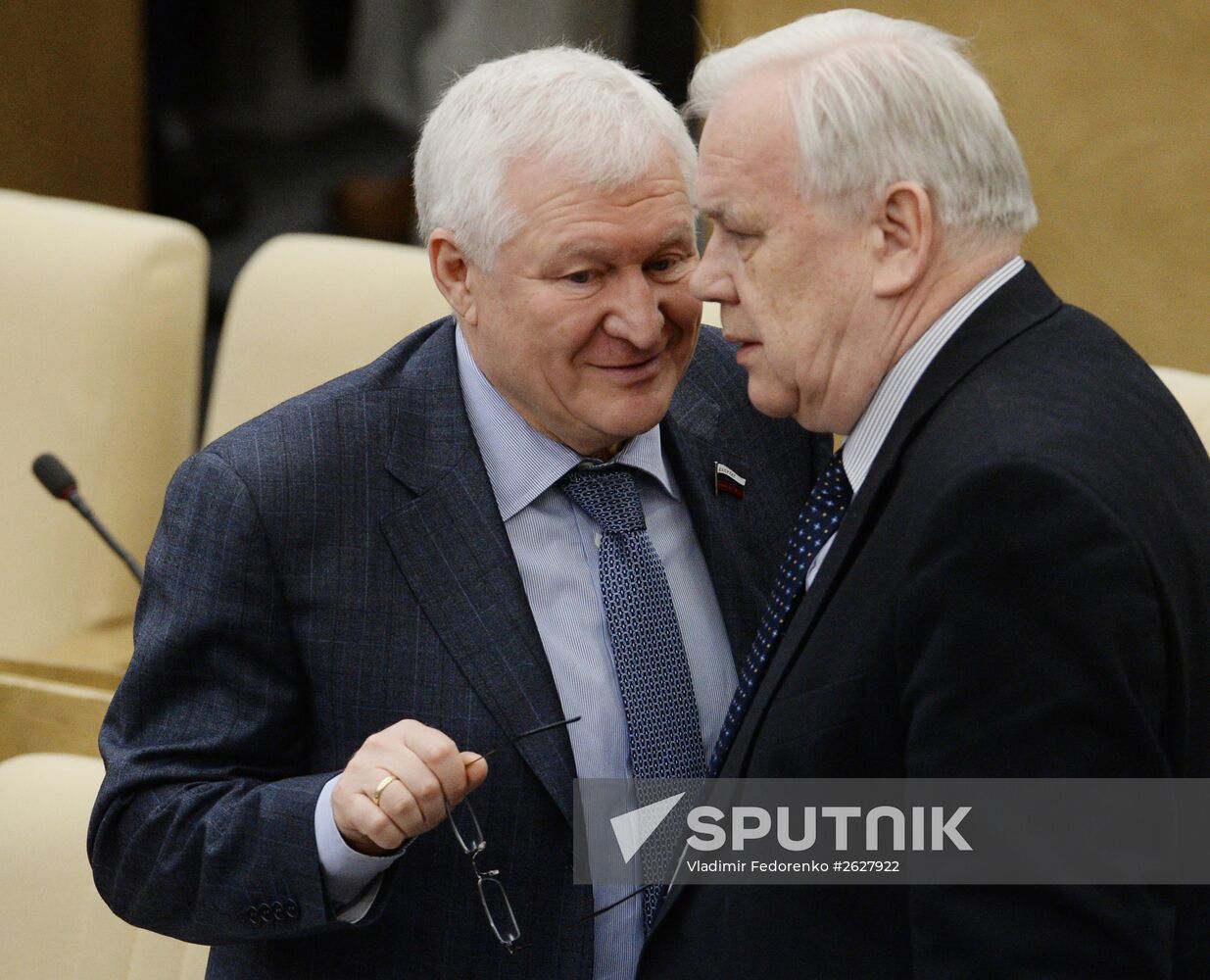Plenary meeting of the State Duma of the Russian Federation