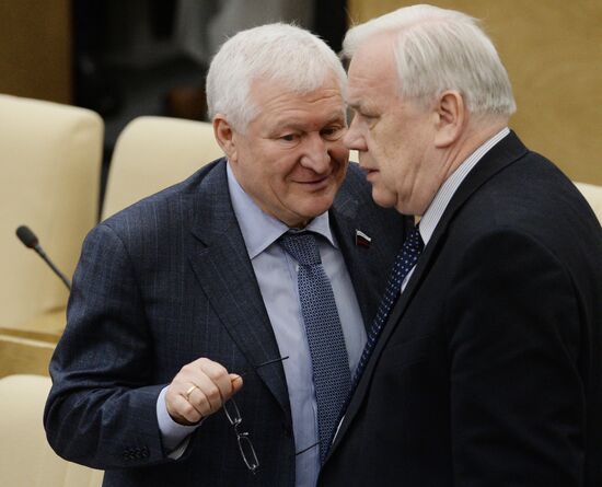 Plenary meeting of the State Duma of the Russian Federation