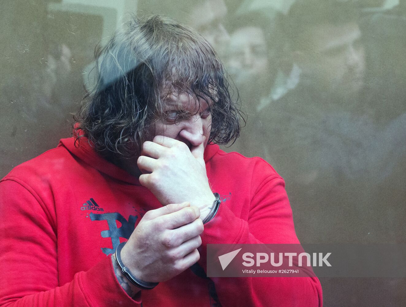 Alexander Yemelyanenko sentenced to 4.5 years in prison