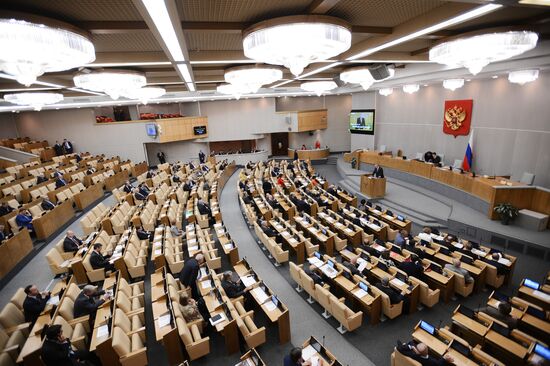 Plenary meeting of the State Duma of the Russian Federation