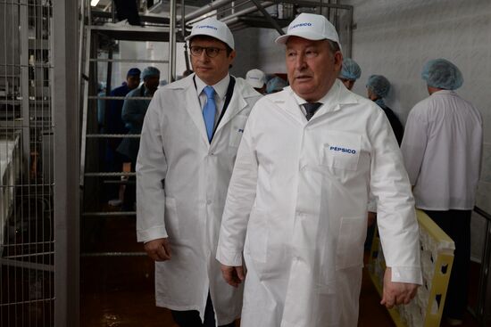 Manufacturing Lamber cheese at the Rubtsovsky dairy plant in the Altai Territory