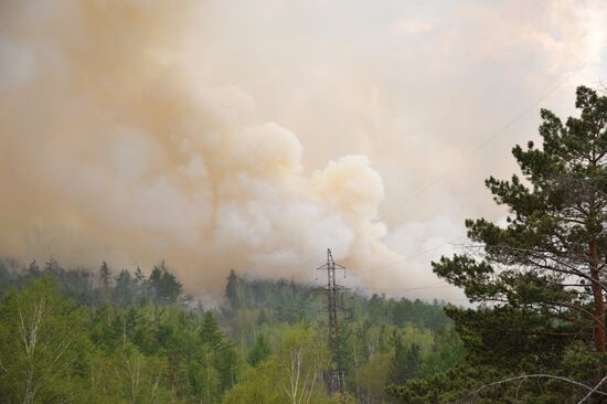 Fires in Transbaikal Territory