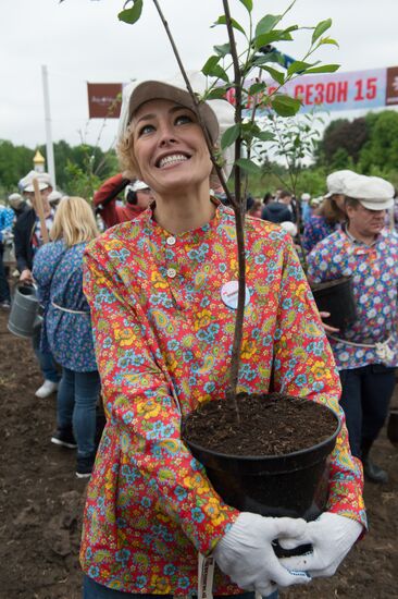 Bosco di Ciliegi festival in Moscow