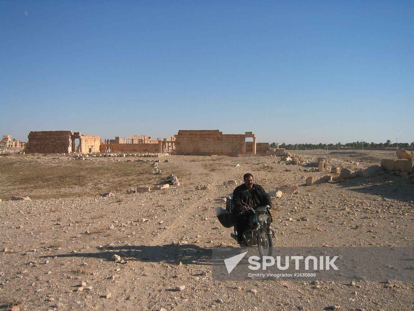 Ruins of ancient city of Palmyra