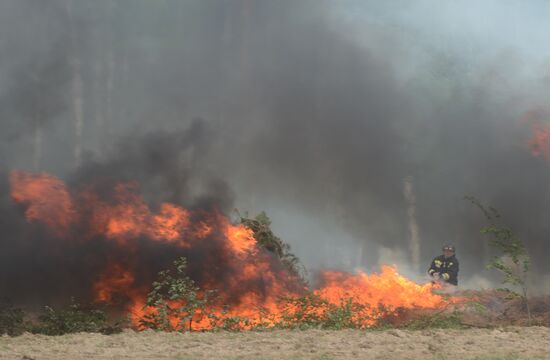Moscow Region Governor Andrei Vorobyov attends drill to put out wildfire and peat-bog fires