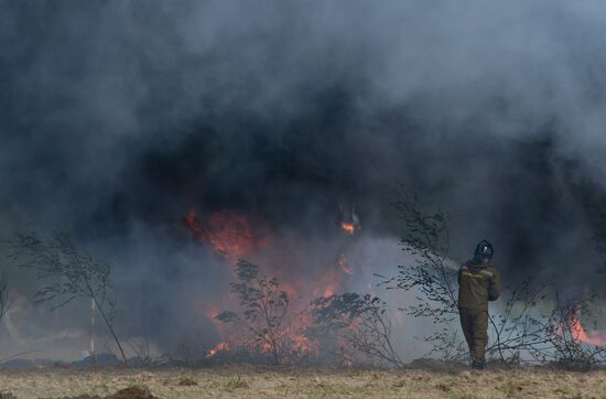 Moscow Region Governor Andrei Vorobyov attends drill to put out wildfire and peat-bog fires