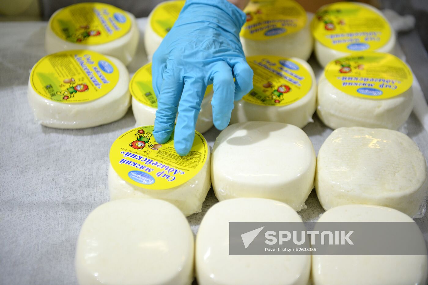 Manufacturing cheese at Molochnaya Blagodat plant in Sverdlovsk region