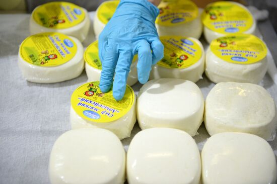 Manufacturing cheese at Molochnaya Blagodat plant in Sverdlovsk region