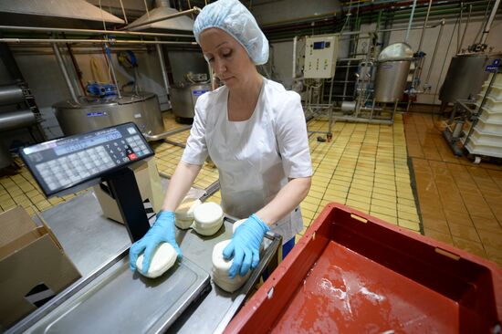 Manufacturing cheese at Molochnaya Blagodat plant in Sverdlovsk region