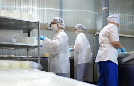 Manufacturing cheese at Molochnaya Blagodat plant in Sverdlovsk region
