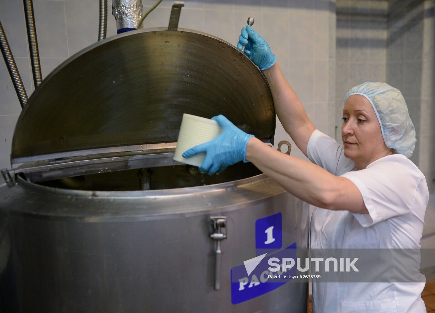 Manufacturing cheese at Molochnaya Blagodat plant in Sverdlovsk region