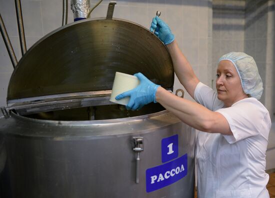 Manufacturing cheese at Molochnaya Blagodat plant in Sverdlovsk region