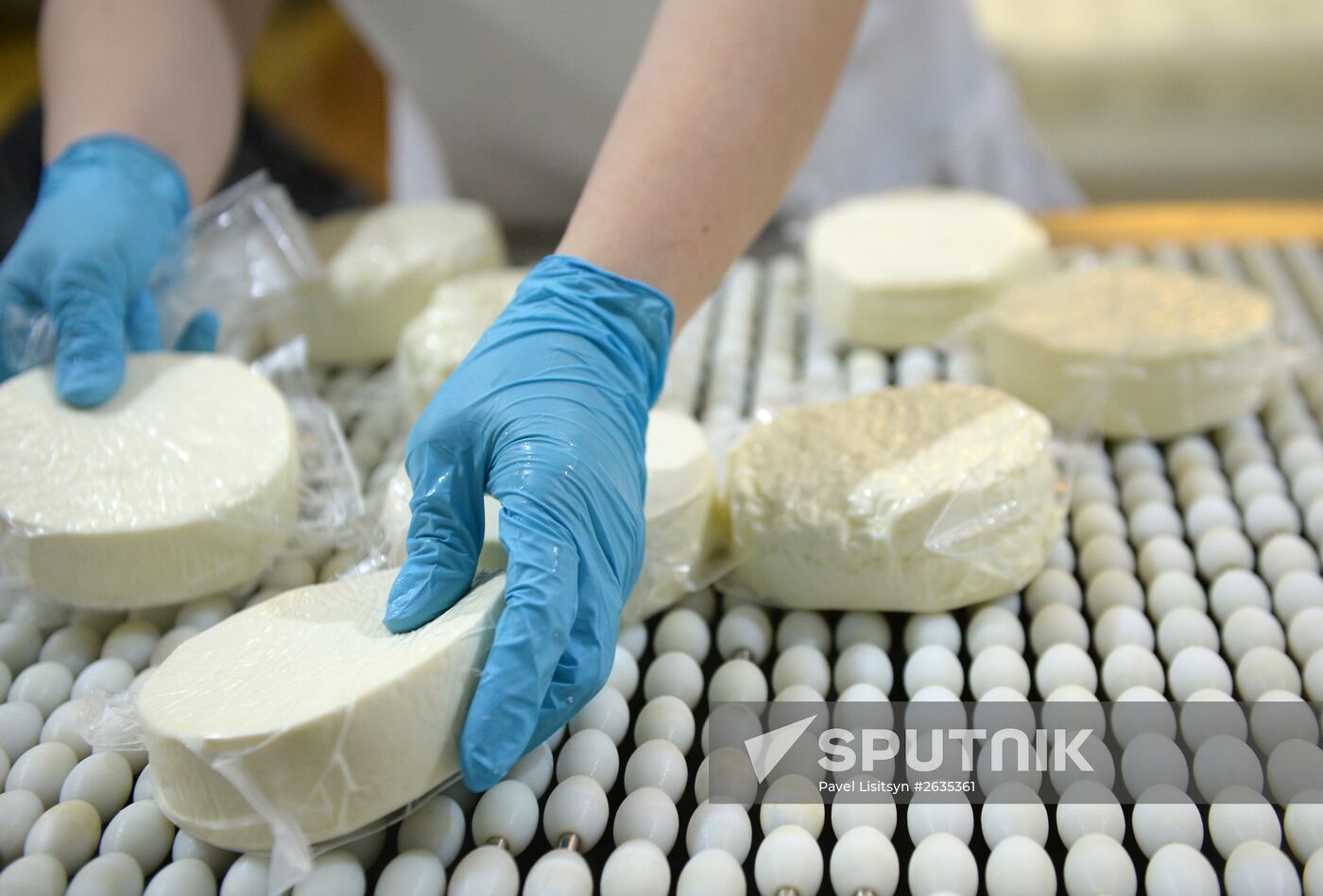 Manufacturing cheese at Molochnaya Blagodat plant in Sverdlovsk region