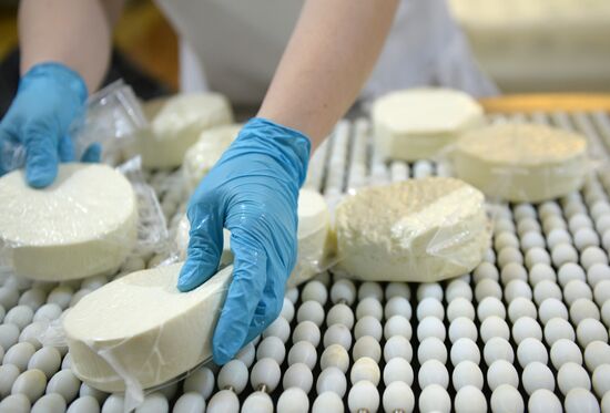 Manufacturing cheese at Molochnaya Blagodat plant in Sverdlovsk region