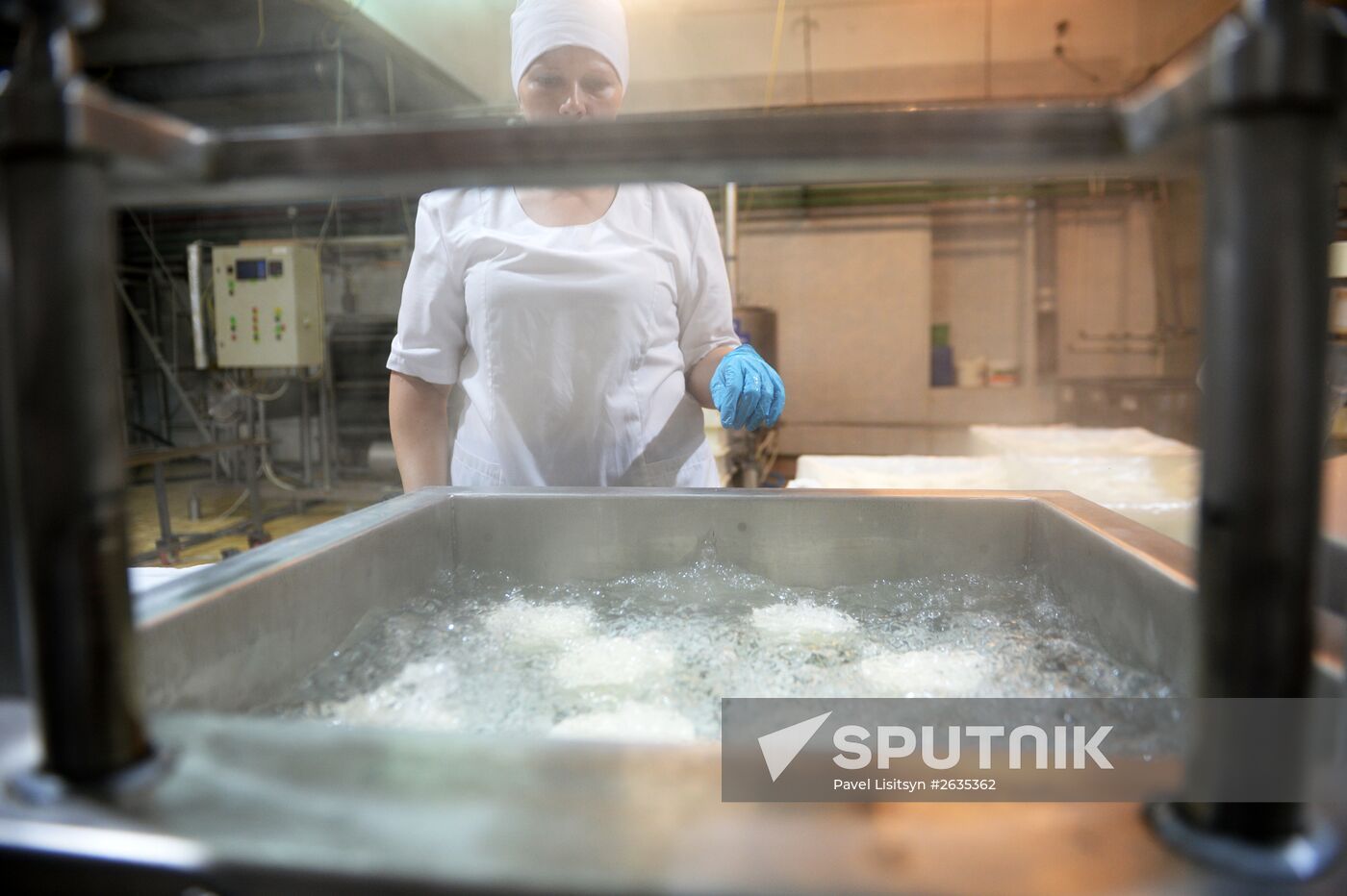 Manufacturing cheese at Molochnaya Blagodat plant in Sverdlovsk region