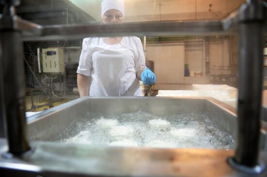 Manufacturing cheese at Molochnaya Blagodat plant in Sverdlovsk region