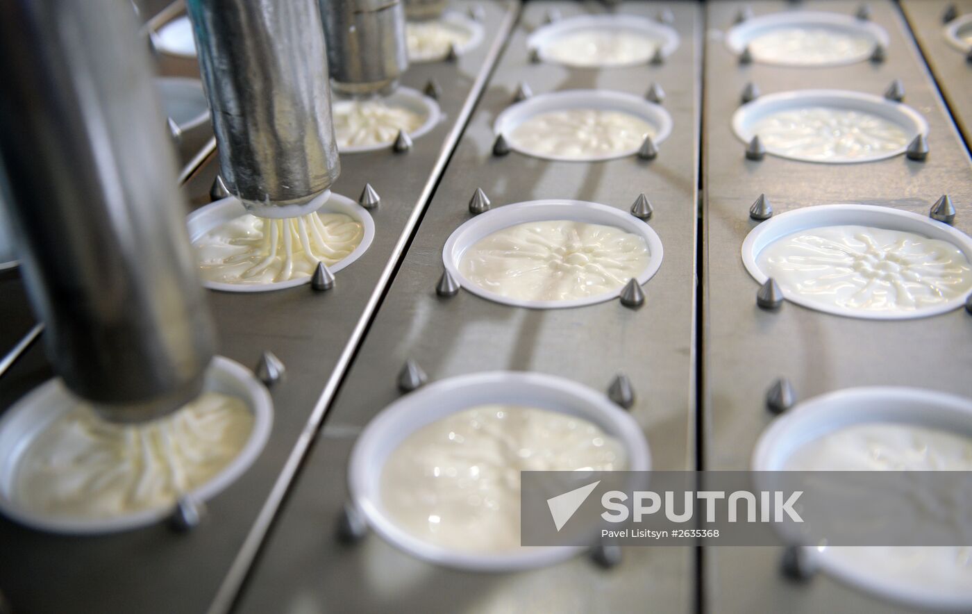 Manufacturing cheese at Molochnaya Blagodat plant in Sverdlovsk region