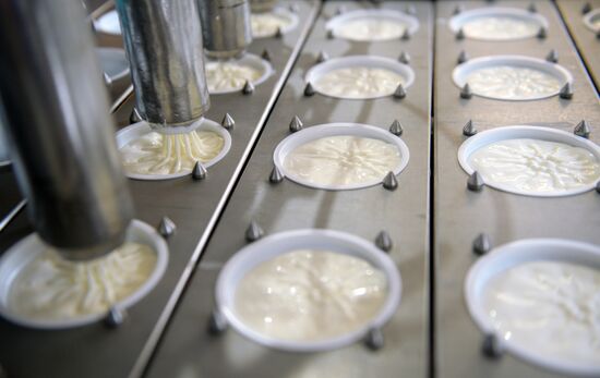 Manufacturing cheese at Molochnaya Blagodat plant in Sverdlovsk region