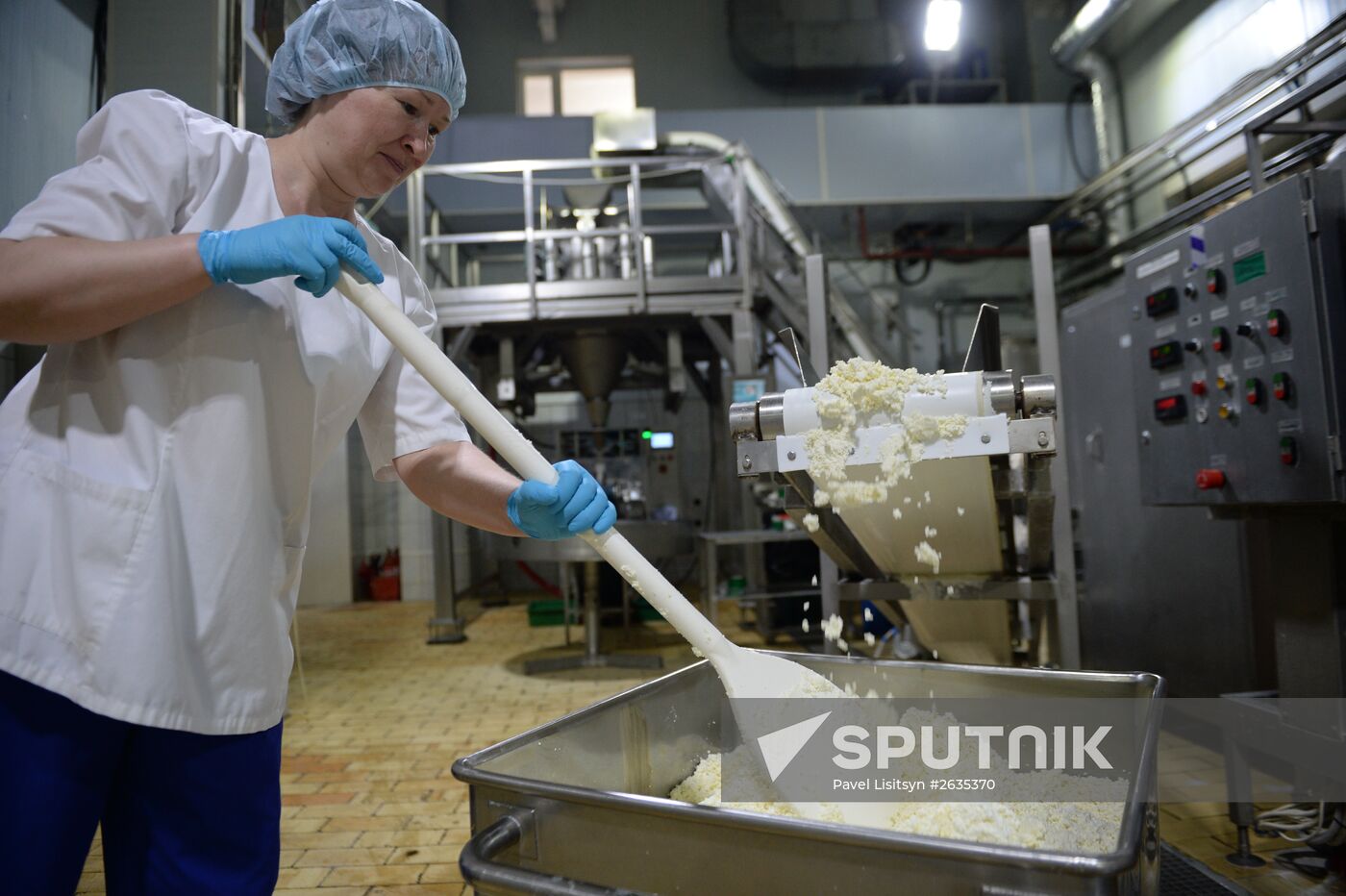 Manufacturing cheese at Molochnaya Blagodat plant in Sverdlovsk region