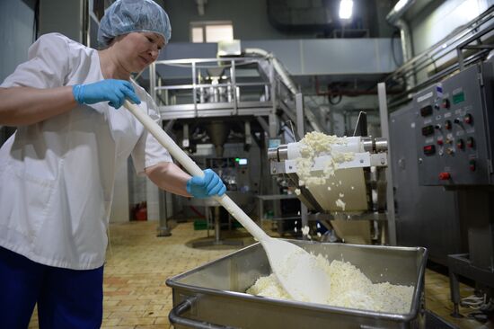 Manufacturing cheese at Molochnaya Blagodat plant in Sverdlovsk region