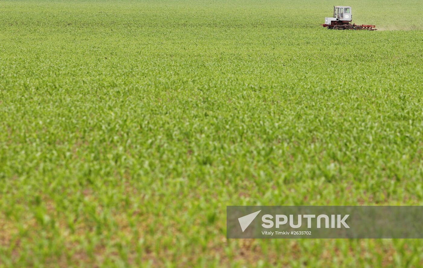 Kuban Agricultural Holding