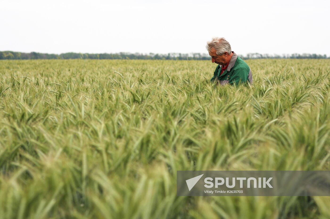 Kuban Agricultural Holding