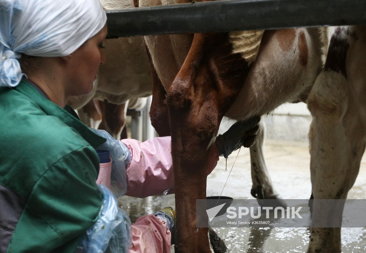 Kuban Agricultural Holding