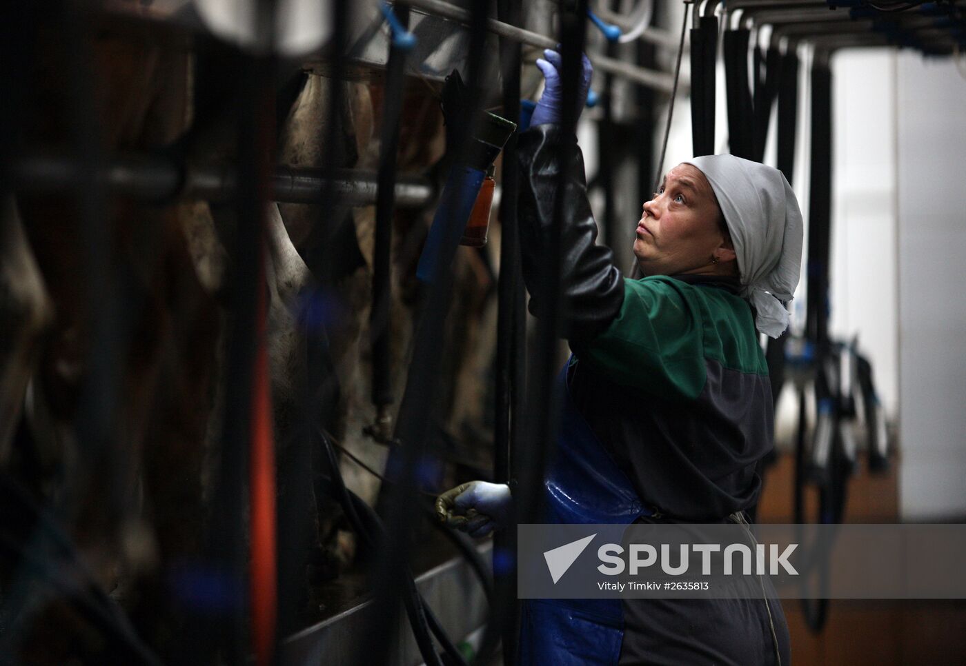 Kuban Agricultural Holding