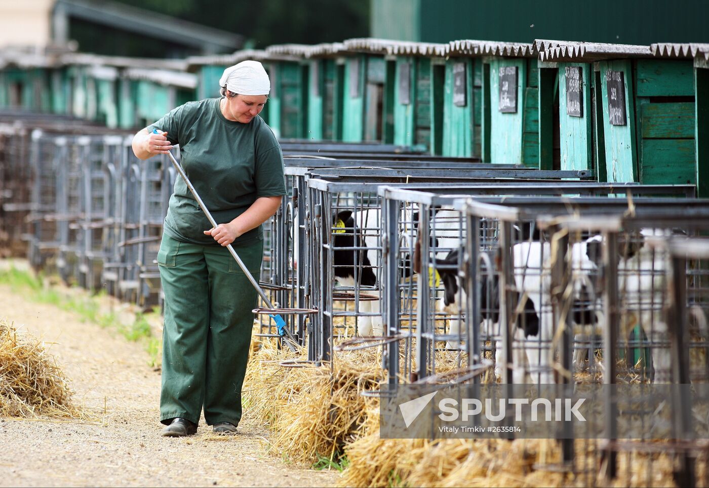 Kuban Agricultural Holding