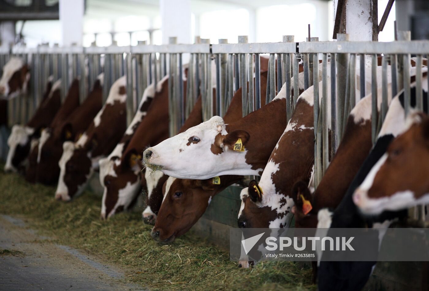 Kuban Agricultural Holding