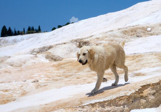 Pamukkale, Turkey