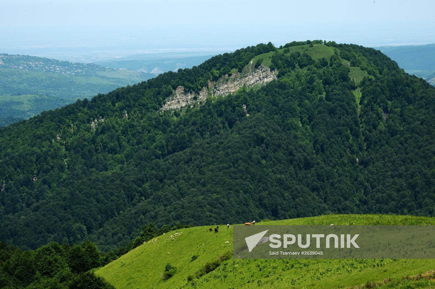 Mountain regions in Chechen Republic