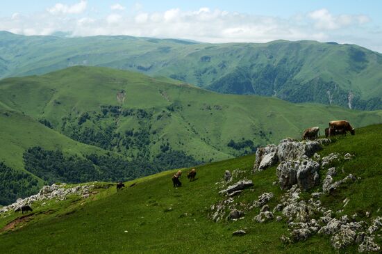 Mountain regions in Chechen Republic