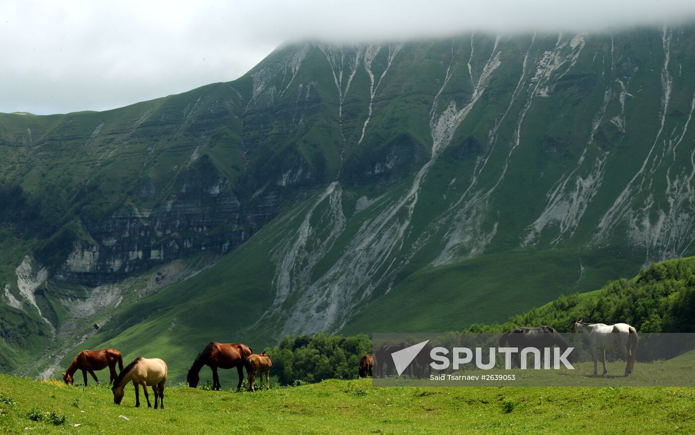 Mountain regions in Chechen Republic