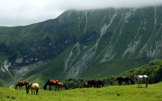 Mountain regions in Chechen Republic
