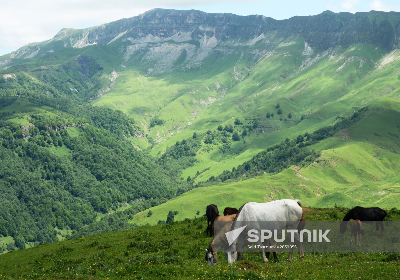 Mountain regions in Chechen Republic
