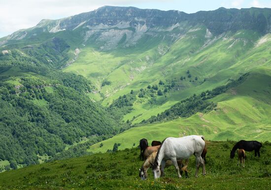 Mountain regions in Chechen Republic