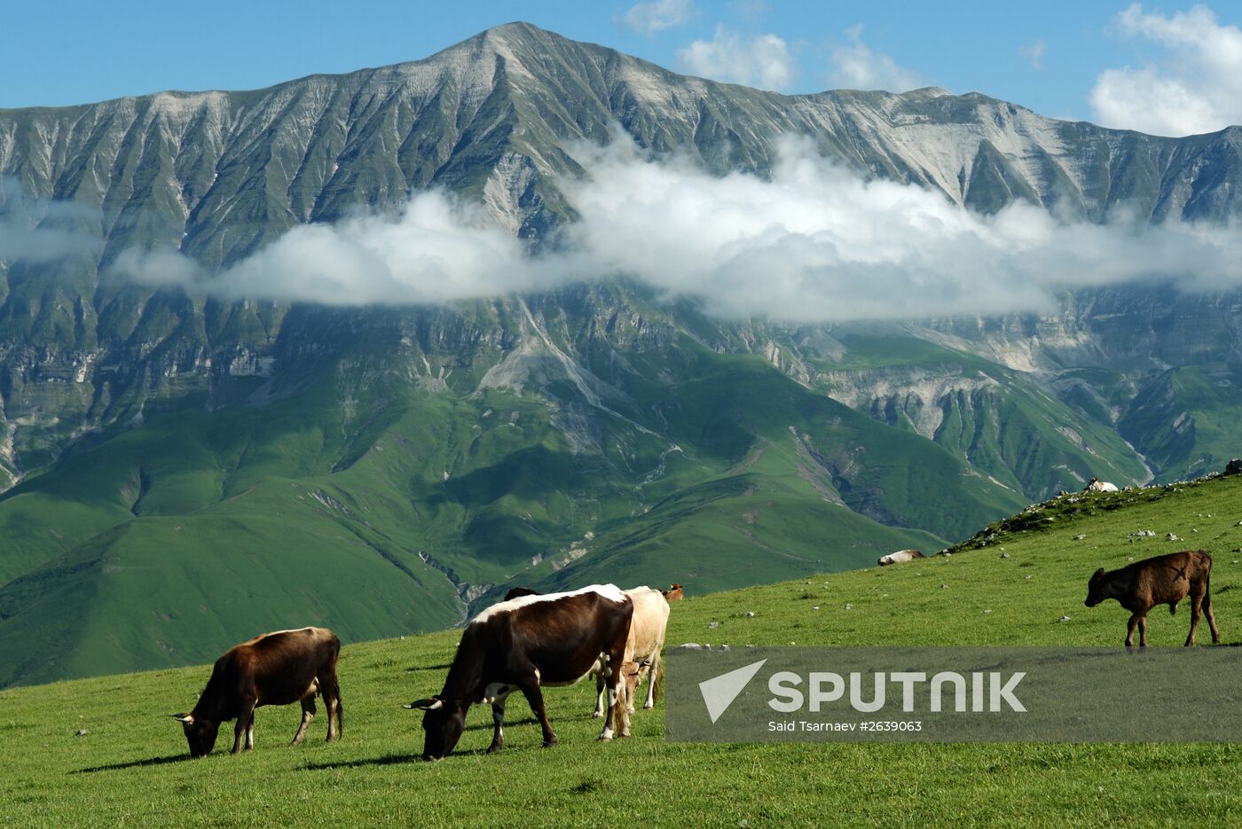 Mountain regions in Chechen Republic