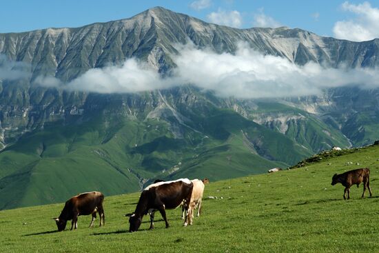 Mountain regions in Chechen Republic