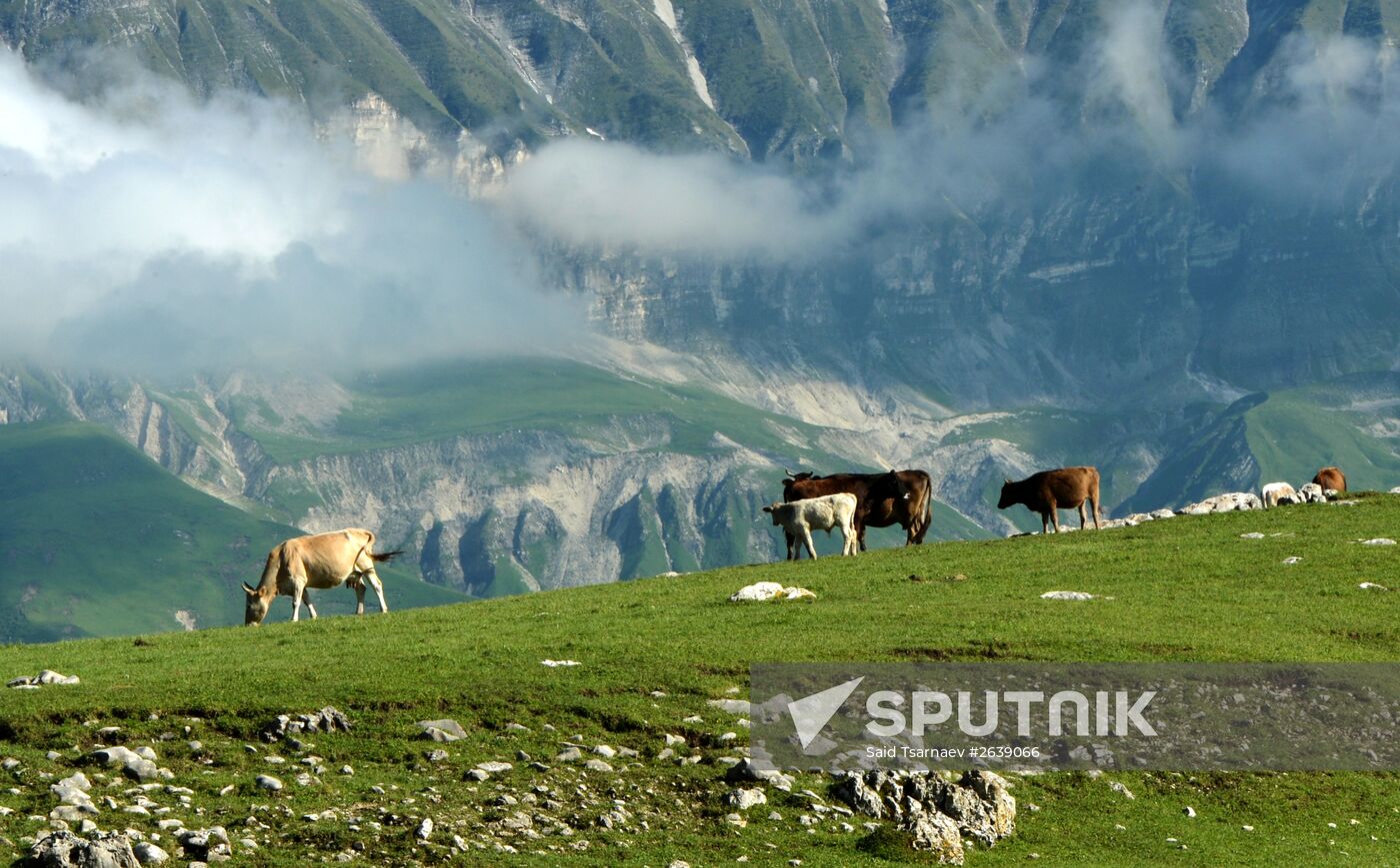 Mountain regions in Chechen Republic